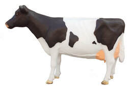 207 Levensgrote Koe Frisian Holsteiner