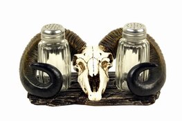 ht35 Peper en zout stel Ramskop