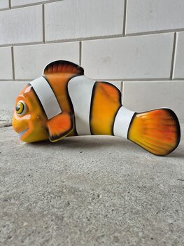 Nemo clownvis