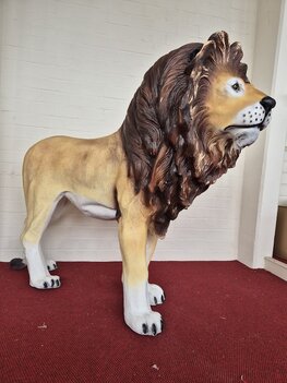 Leeuw levensgroot LION KING
