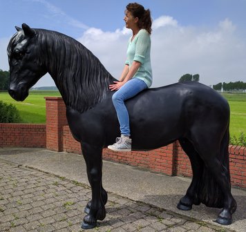 Levensgroot Frisian Paard