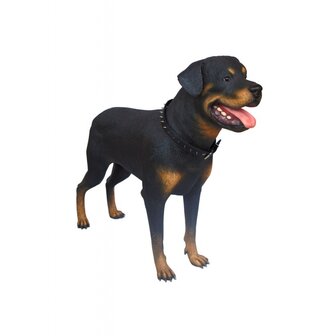 Levensgrote Rottweiler Hond