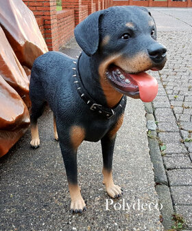 Levensgrote Rottweiler Hond