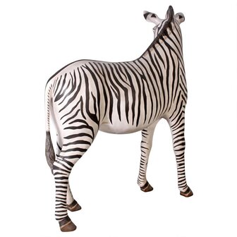 Levensgrote Zebra