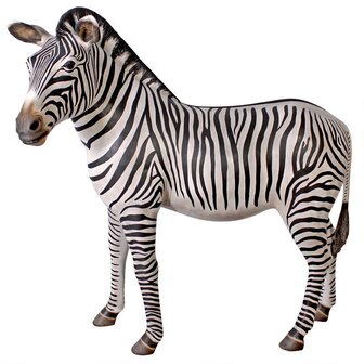 Levensgrote Zebra