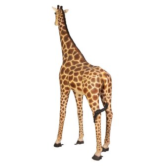 Levensgrote &nbsp;Giraffe 360cm