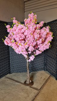 A3 Bloesemboom Pink 180cm