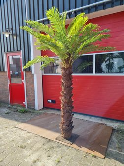 Kunstboom Beachpalm 250cm