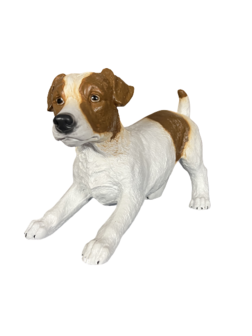 ht02 Jack Russel