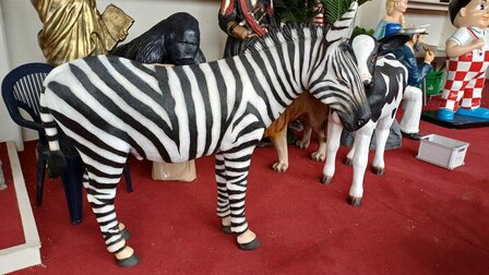 Levensgrote Zebra