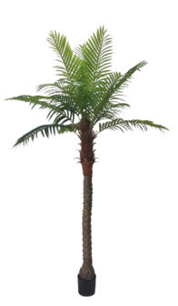 Palmtree 310cm