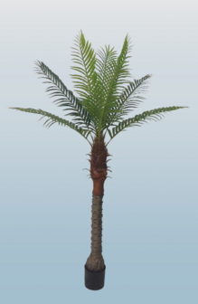 Palmtree 190cm