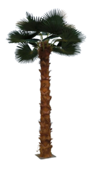 Palmtree 400cm
