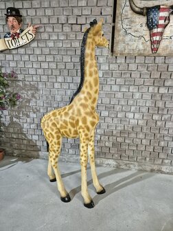 Levensgrote giraffe jong