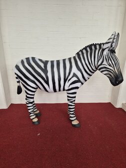 Levensgrote Zebra