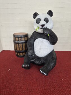 Panda beer bamboe