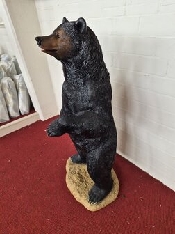 Bruine beer staand