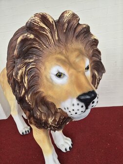 Leeuw levensgroot LION KING