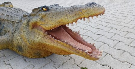 Lifesize Crocodile