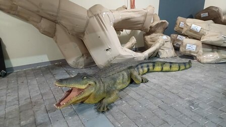 Lifesize Crocodile