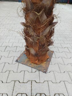 Palmtree 400cm