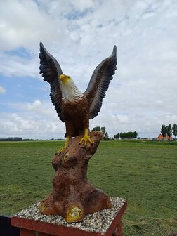 EAGLE