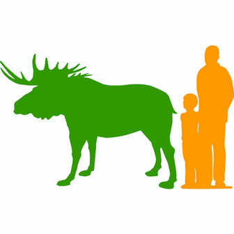 Moose Lifesize