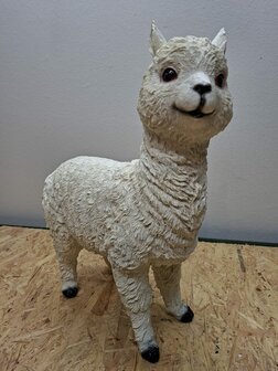 Alpaca creme kleur