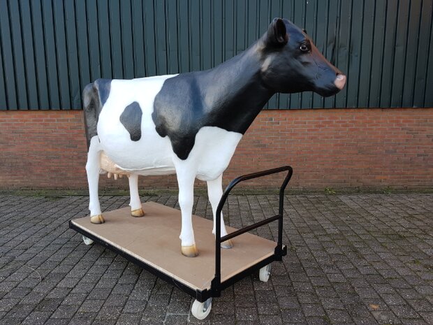 207 Levensgrote Koe Frisian Holsteiner