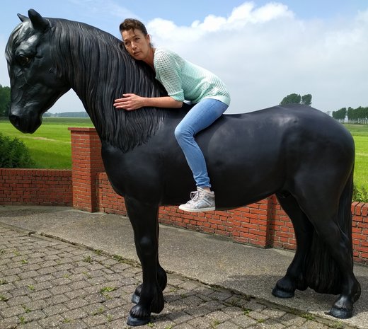 Levensgroot Frisian Paard