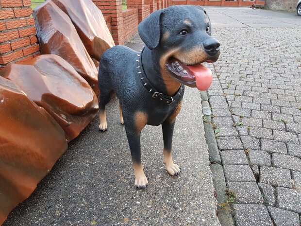 Levensgrote Rottweiler Hond