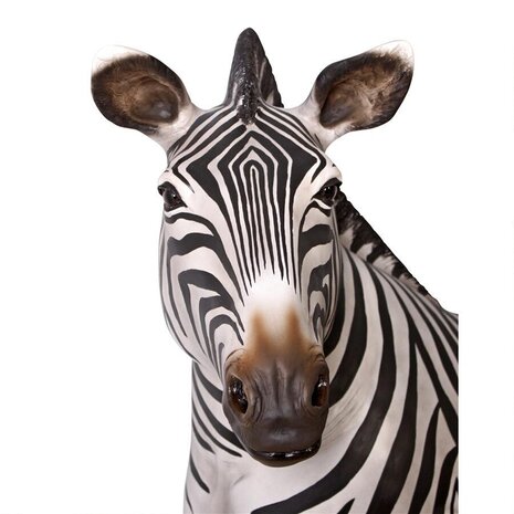 Levensgrote Zebra