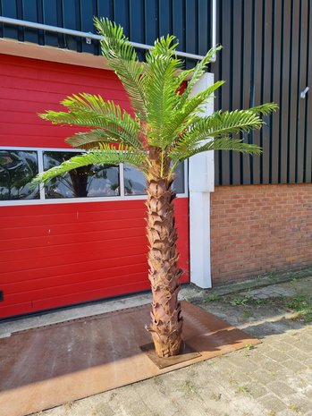 Kunstboom Beachpalm 250cm