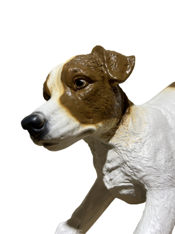 ht02 Jack Russel