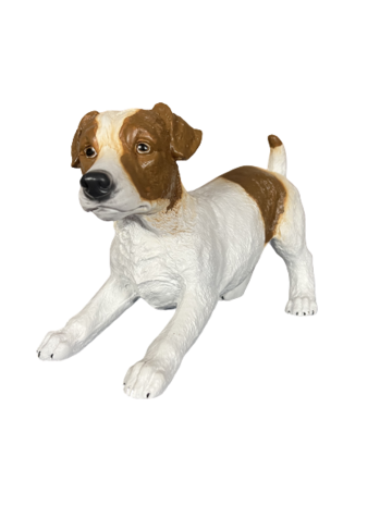 ht02 Jack Russel