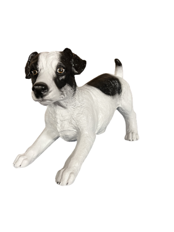 ht01 Jack Russel