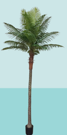 Palmtree 310cm