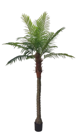 Palmtree 230cm