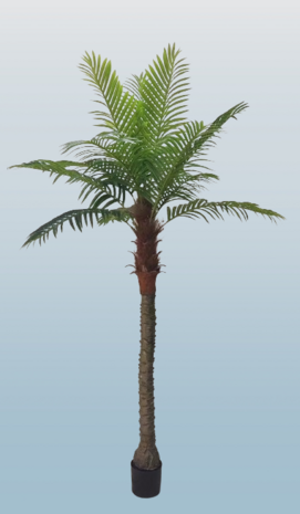 Palmtree 230cm