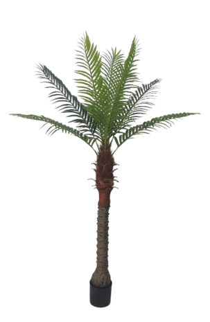Palmtree 190cm