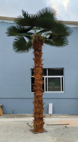 Palmtree 400cm