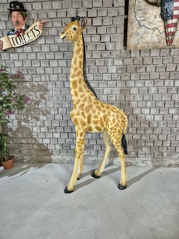 Levensgrote giraffe jong