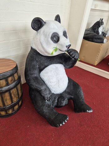 Panda beer bamboe