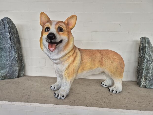 Hond corgi