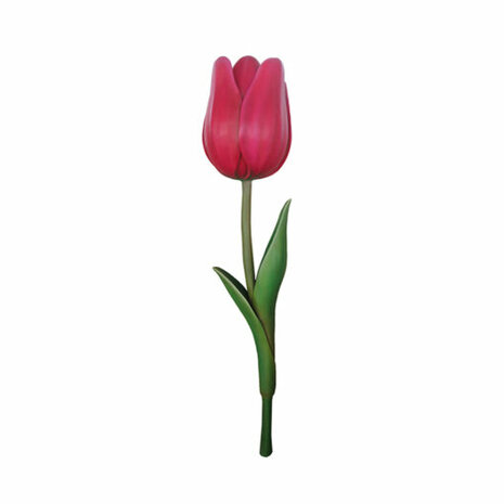 Giant tulip