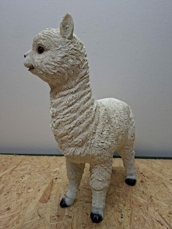 Alpaca creme kleur