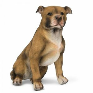 Amerikaanse Bulldog 