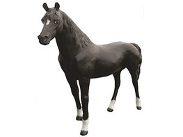 Levensgroot Paard Arabier