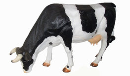 204 Levensgrote Koe Grazend