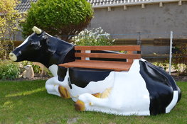 209 Levensgrote Koe Bank